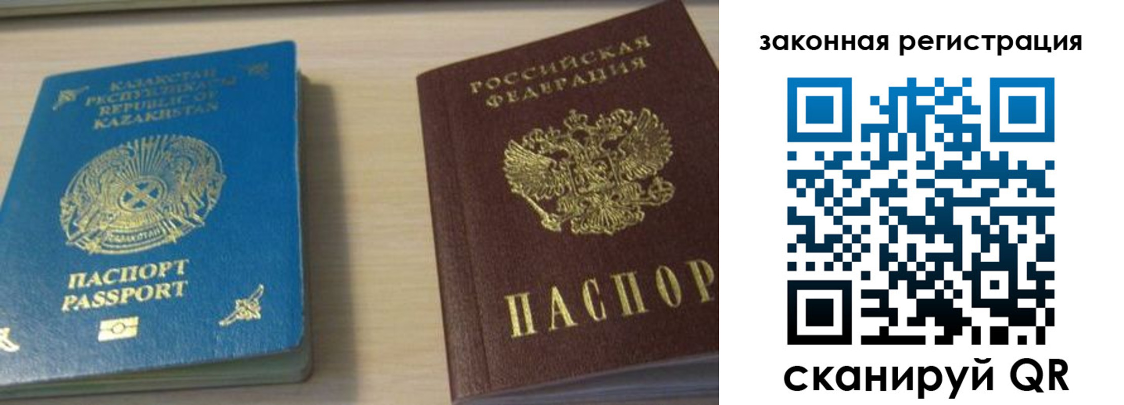 временная регистрация надежно в Элисте